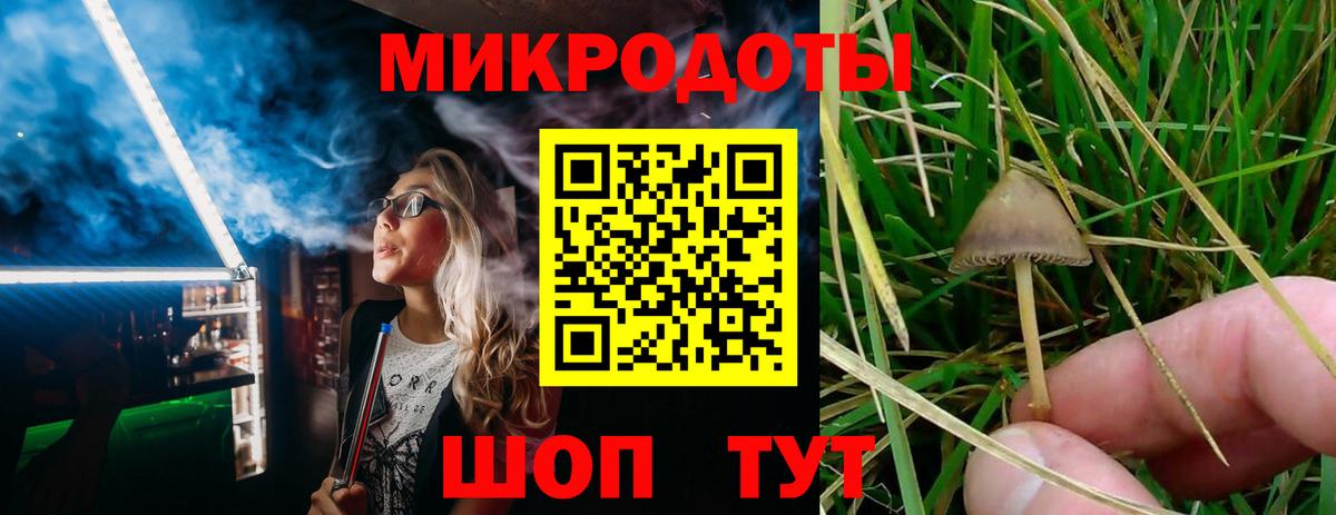 Псилоцибиновые грибы прущие грибы Лабытнанги