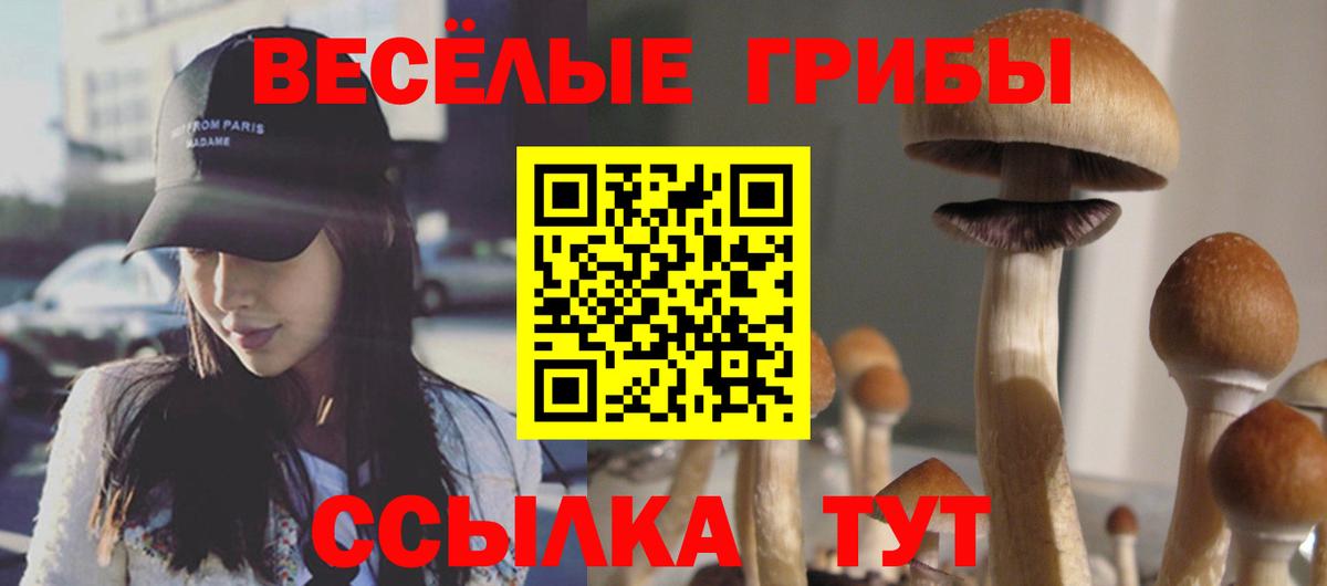 Лабытнанги  Псилоцибиновые грибы Magic Shrooms  Вход с VPN 